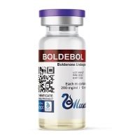 BOLDEBOL Muscle Labs