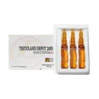 TESTOLAND DEPOT Landerlan