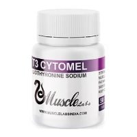 T3 CYTOMEL Muscle Labs